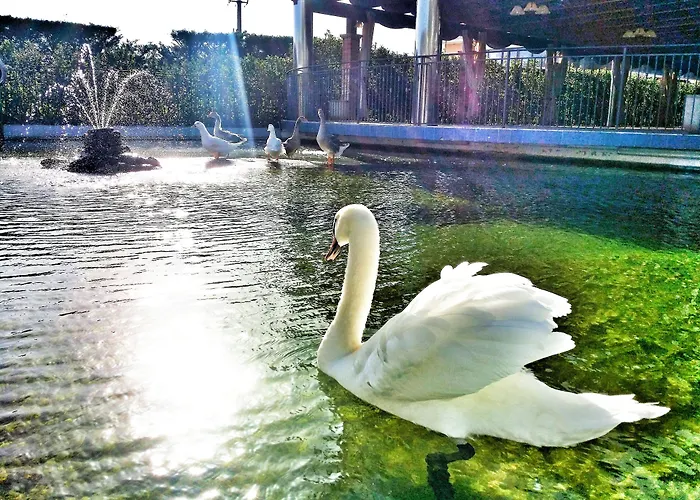 San Luca Szálloda 4*