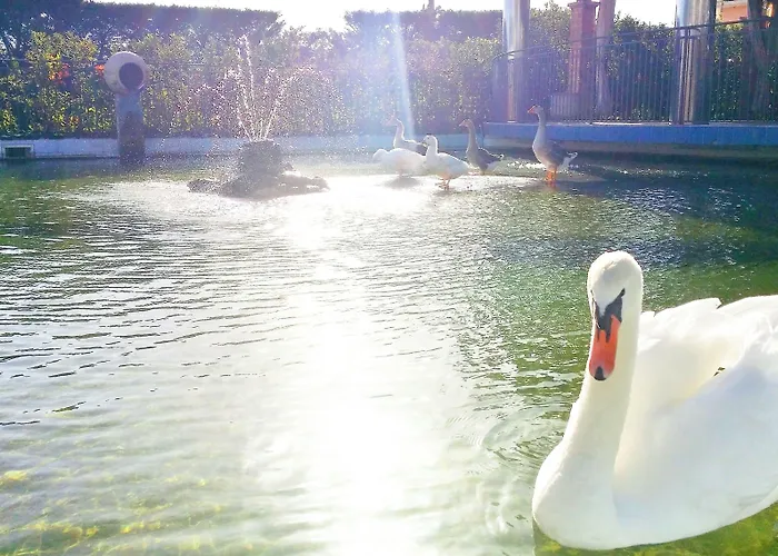 San Luca Szálloda 4*